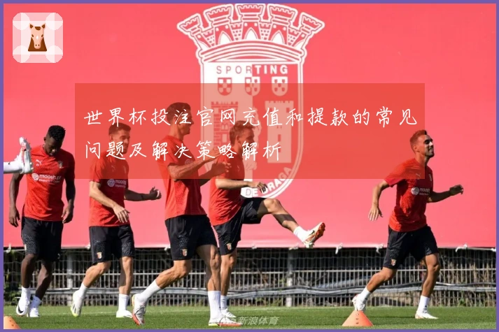 世界杯投注官网充值和提款的常见问题及解决策略解析