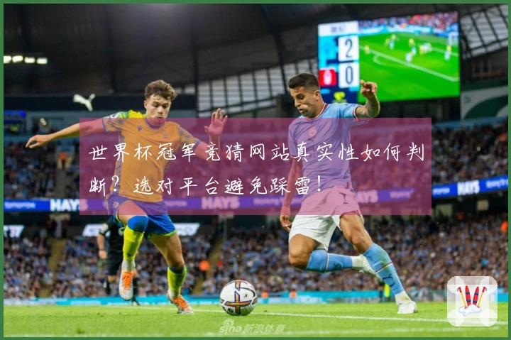 世界杯冠军竞猜网站真实性如何判断？选对平台避免踩雷！